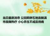 當(dāng)日最新消息 公園鵝卵石地面躺滿市民做熱療 小心養(yǎng)生不成反得病