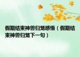 假期結束神獸歸籠感悟（假期結束神獸歸籠下一句）