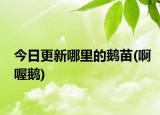 今日更新哪里的鵝苗(啊喔鵝)