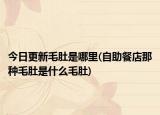 今日更新毛肚是哪里(自助餐店那種毛肚是什么毛肚)