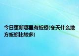 今日更新哪里有蚯蚓(冬天什么地方蚯蚓比較多)