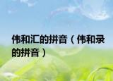 偉和匯的拼音（偉和錄的拼音）