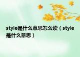 style是什么意思怎么讀（style是什么意思）