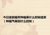 今日更新福年種福果什么時候結(jié)束（種福氣果到什么時候）