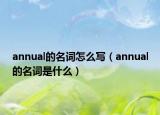 annual的名詞怎么寫（annual的名詞是什么）