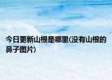 今日更新山根是哪里(沒有山根的鼻子圖片)