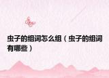 蟲(chóng)子的組詞怎么組（蟲(chóng)子的組詞有哪些）