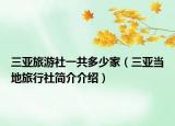 三亞旅游社一共多少家（三亞當(dāng)?shù)芈眯猩绾?jiǎn)介介紹）