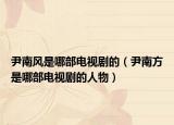 尹南風(fēng)是哪部電視劇的（尹南方是哪部電視劇的人物）