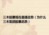 三木股票現(xiàn)在最強(qiáng)走勢(shì)（為什么三木集團(tuán)股票總跌）