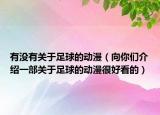 有沒有關(guān)于足球的動漫（向你們介紹一部關(guān)于足球的動漫很好看的）
