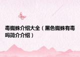 毒蜘蛛介紹大全（黑色蜘蛛有毒嗎簡(jiǎn)介介紹）
