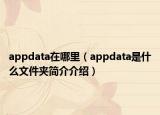 appdata在哪里（appdata是什么文件夾簡介介紹）