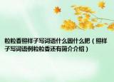 粒粒香照樣子寫詞語什么圓什么肥（照樣子寫詞語例粒粒香還有簡介介紹）