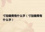 寸加偏旁有什么字（寸加偏旁有什么字）