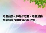 電腦的魯大師是干啥的（電腦里的魯大師有作用什么簡介介紹）