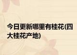 今日更新哪里有桂花(四大桂花產(chǎn)地)