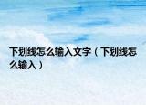 下劃線怎么輸入文字（下劃線怎么輸入）