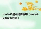 mate40是雙揚(yáng)聲器嘛（mate40是雙卡的嗎）