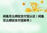 閑魚怎么綁定支付寶認證（閑魚怎么綁定支付寶賬號）