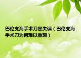 巴倫支海手術(shù)刀是失誤（巴倫支海手術(shù)刀為何難以重現(xiàn)）