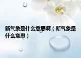 新氣象是什么意思啊（新氣象是什么意思）