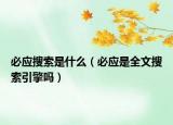 必應(yīng)搜索是什么（必應(yīng)是全文搜索引擎嗎）