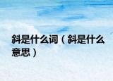 斜是什么詞（斜是什么意思）