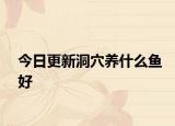 今日更新洞穴養(yǎng)什么魚(yú)好