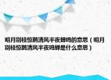 明月別枝驚鵲清風(fēng)半夜蟬鳴的意思（明月別枝驚鵲清風(fēng)半夜鳴蟬是什么意思）