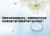 贛南尋烏臍橙哪里的好吃（贛南臍橙信豐安遠(yuǎn)尋烏定南全南于都寧都瑞金中哪個地方的好吃）