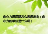 向心力用周期怎么表示出來（向心力的單位是什么?。? /></span></a>
                        <h2><a href=