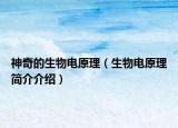 神奇的生物電原理（生物電原理簡(jiǎn)介介紹）
