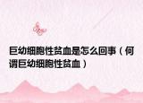 巨幼細(xì)胞性貧血是怎么回事（何謂巨幼細(xì)胞性貧血）