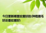 今日更新哪里紋眉好的(種植眉毛好還是紋眉好)