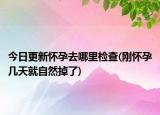今日更新懷孕去哪里檢查(剛懷孕幾天就自然掉了)