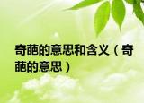 奇葩的意思和含義（奇葩的意思）