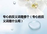 專心的反義詞是哪個(gè)（專心的反義詞是什么呢）