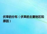 伏旱的分布（伏旱的主要地區(qū)和原因）