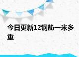 今日更新12鋼筋一米多重
