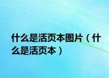 什么是活頁(yè)本圖片（什么是活頁(yè)本）