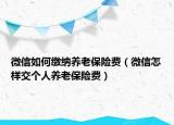 微信如何繳納養(yǎng)老保險(xiǎn)費(fèi)（微信怎樣交個(gè)人養(yǎng)老保險(xiǎn)費(fèi)）