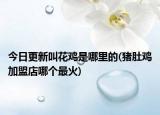 今日更新叫花雞是哪里的(豬肚雞加盟店哪個(gè)最火)