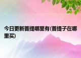 今日更新菩提哪里有(菩提子在哪里買)