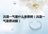 沆瀣一氣是什么意思?。ㄣ戾粴庖馑荚斀猓? /></span></a>
                        <h2><a href=