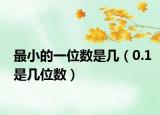 最小的一位數(shù)是幾（0.1是幾位數(shù)）