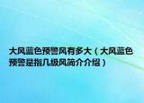 大風(fēng)藍(lán)色預(yù)警風(fēng)有多大（大風(fēng)藍(lán)色預(yù)警是指幾級風(fēng)簡介介紹）