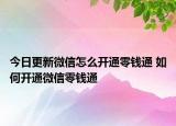 今日更新微信怎么開通零錢通 如何開通微信零錢通