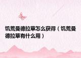 饑荒曼德拉草怎么獲得（饑荒曼德拉草有什么用）