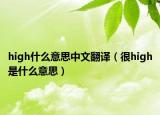 high什么意思中文翻譯（很high是什么意思）
